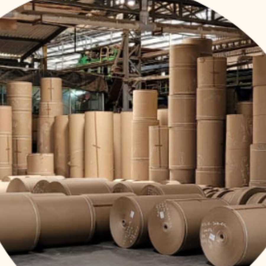 Pressed and dried paper rolls in the warehouse